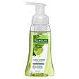 Palmolive Antibacterial Foaming Hand Wash Lime & Mint 250ml - RPP ONLINE